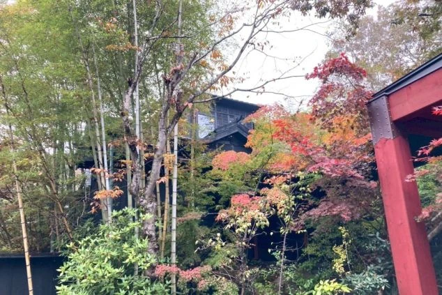 豊かな紅葉と竹林に囲まれた、黒い建物の施設外観。