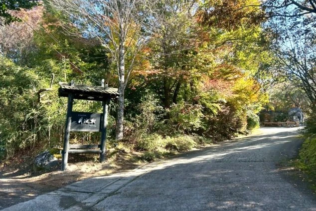 黒川温泉にある高級旅館の幻想的な施設外観画像。静寂な森に包まれた離れ宿。