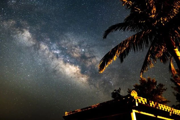 星空とヤシの木のシルエットの画像。空には天の川がくっきりと写り、南国らしい雰囲気が伝わってくる。リゾートバイトの休日に観光を楽しめる、自然の風景の画像。