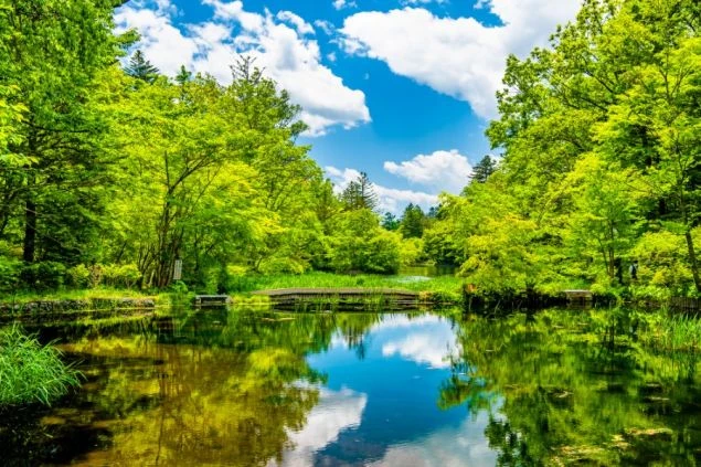 軽井沢のカフェやアウトレットの写真がコラージュされ、「軽井沢」「朝ゆっくり出勤あり♪」「個室寮×自転車レンタル」というテキストが入っている。