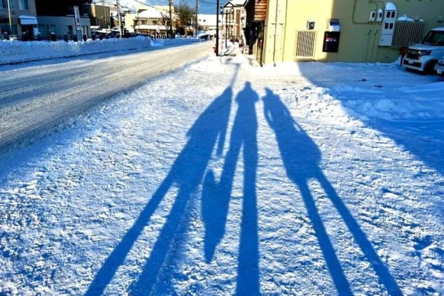 北海道函館市の五稜郭公園を上空から撮影した写真。星形の城郭がはっきりと見え、桜の木が並んでいる。リゾートバイトの休日に歴史的な観光地を巡る魅力を伝える。