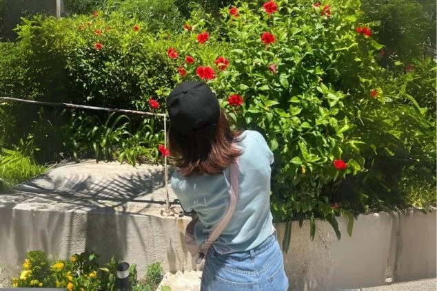 赤い花が咲き誇る花壇で、女性が写真を撮っている後ろ姿の画像。リゾートバイトの休日に観光を楽しんでいる様子が伝わってくる。リゾートバイトの休日の過ごし方を表す、風景の画像。