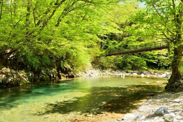 緑豊かな木々に囲まれた川の風景の画像。透き通るような川の上には、赤い吊り橋が架かっている。リゾートバイトの休日に観光を楽しめる、自然の風景の画像。