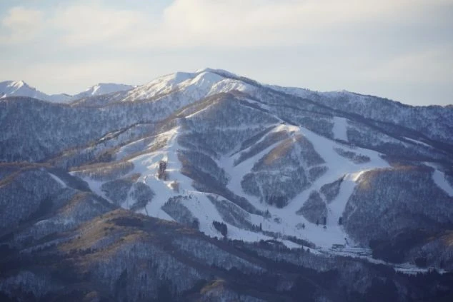 スキー場の全景。広大な敷地に、初心者から上級者まで楽しめる、多彩なコースが整備されています。
