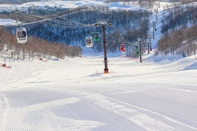 スキー場のゲレンデ。きれいに圧雪された広大なコースと、カラフルなゴンドラが特徴です。