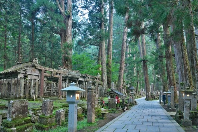 高野山の奥之院参道。古くからある墓石や苔むした石塔が立ち並び、巨大な杉木立が幻想的な雰囲気を醸し出す。リゾートバイトの勤務地として、厳かで神秘的な空間をアピール。