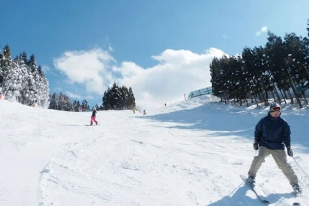 スキー場のゲレンデで、スキーを楽しむ男性。晴れた空の下、他のスキーヤーや雪に覆われた木々が見える。冬のリゾートバイトの仕事や、休日のスキー・スノボをアピール。