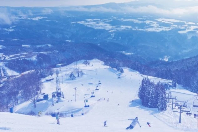 ゲレンデ全体を上空から撮影したような広大な景色の画像。