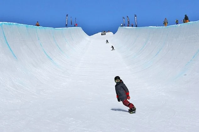 パークに設置された、本格的なハーフパイプ。大会も開催されるほど整備されたコースで、腕試しをすることができます。