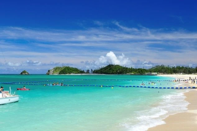 ビーチに面した開放的なテラス席。青い空と白い砂浜がリゾート気分を演出。