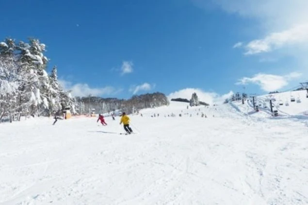 晴天のスキー場。多くのスキーヤーが滑走している画像。