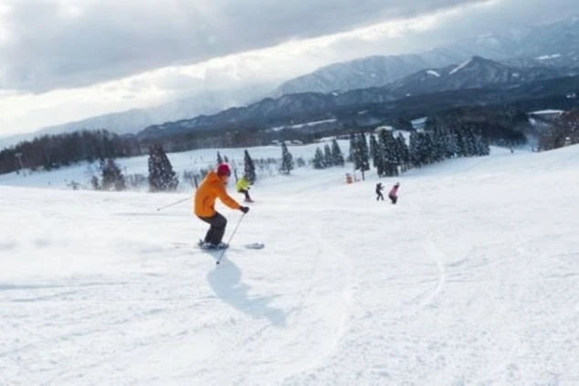 晴天のスキー場。スキーヤーやスノーボーダーが滑っている画像。