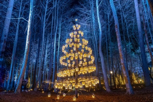 軽井沢の夜の森をライトアップした風景の画像。ランタンがクリスマスツリーのように飾られ、幻想的な雰囲気を醸し出している。リゾートバイトの休日に観光を楽しめる、風景の画像。