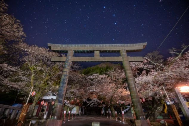 美しい日本庭園を望む食事処。風情ある景色を眺めながら、お客様に心温まるおもてなしができます。