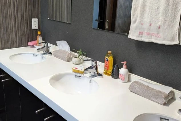 リゾートバイトの寮共用部の洗面所の画像。新しくキレイ。