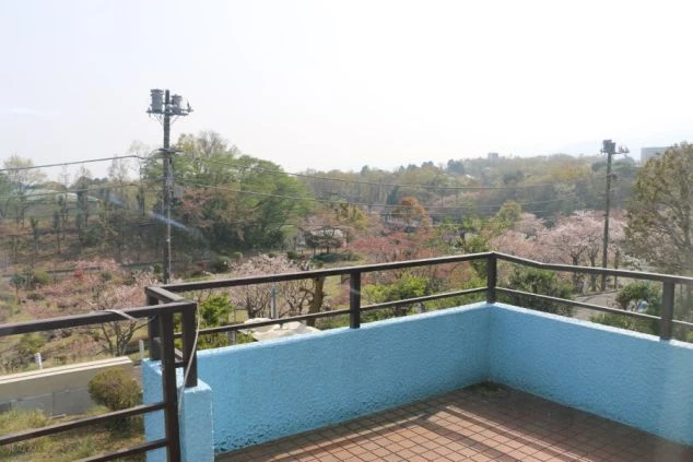 部屋の窓から見える、桜が咲く景色。四季折々の美しい景色を眺めながら、リゾートバイトの生活を送れます。