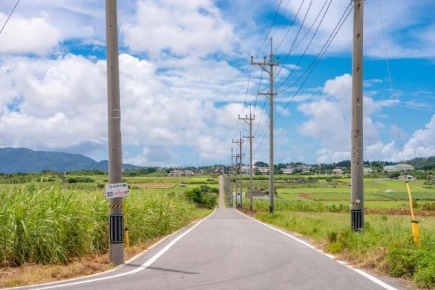 青空の下、サトウキビ畑が広がる小浜島の一本道。のどかな離島でリフレッシュしませんか。
