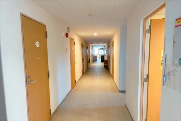 アパートの共用廊下。左右に複数の部屋のドアが並んでおり、突き当たりには窓がある。床は明るい木目調で、壁は白く、清潔感のある空間。