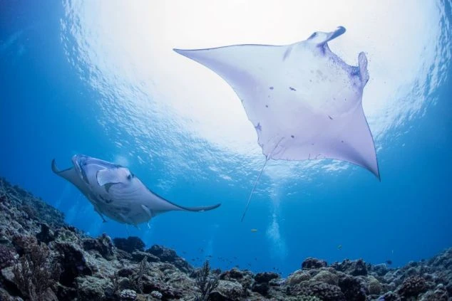 リゾートバイト先で出会った仲間と沖縄の海辺で撮る楽しそうな集合写真。