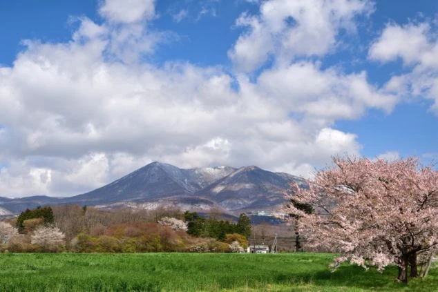 那須高原の山々を見下ろす雄大な景色。リフトの支柱と緑豊かな高原。リゾートバイトの休日の絶景や、自然を満喫できる場所。