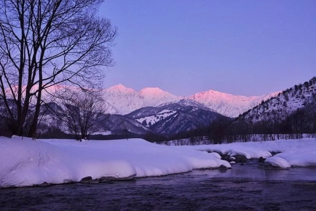白馬の雪山が朝焼けでピンク色に染まる幻想的な風景の画像。