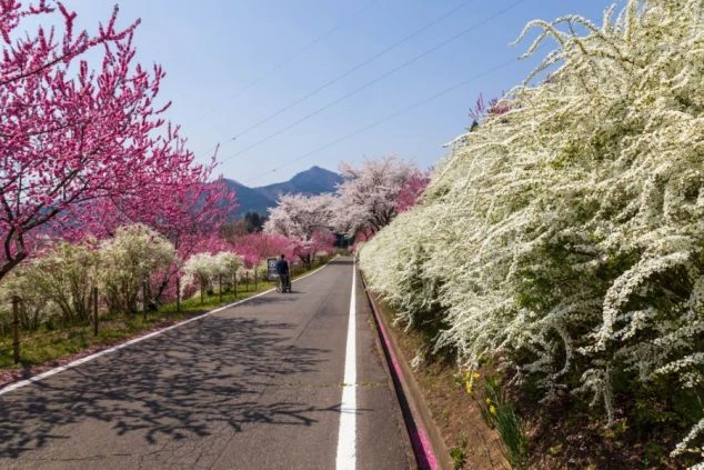 木漏れ日が差し込む、森の中の露天風呂。自然に囲まれた癒やしの空間で、源泉かけ流しの温泉を心ゆくまで満喫できます。