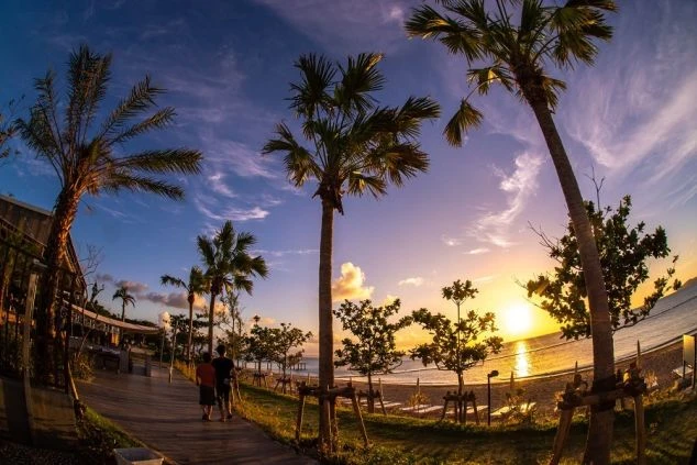 ヤシの木が並ぶビーチで、夕日を眺めるリゾートバイトの仲間の写真。仕事終わりや休日に、南国の絶景に癒される非日常的な体験を表現しています