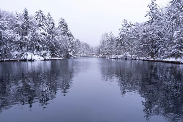 雪が積もった木々に囲まれた湖の画像。雪国や温泉地など、冬の景色のリゾートバイトをイメージ。