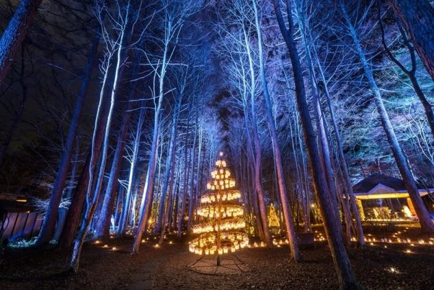 森の中の木々が青くライトアップされ、温かい光のクリスマスツリーが輝く冬のイルミネーションの画像。