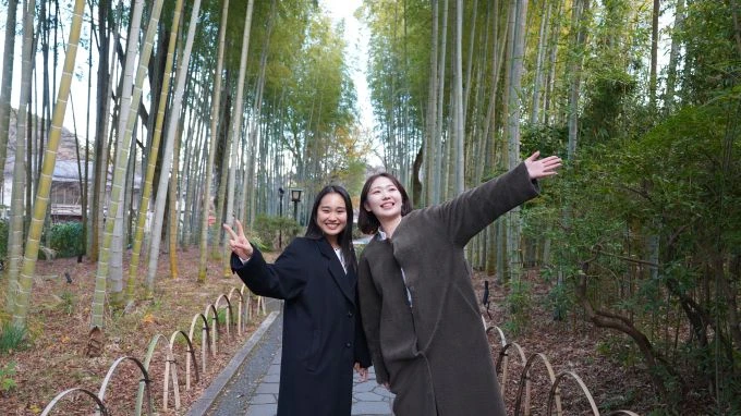 青々とした竹林に囲まれた石畳の道の画像。京都や人気の観光地でのリゾートバイトをイメージ。