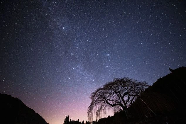 外観。左奥には千と千尋の神隠しを彷彿とさせる、複雑な構造と瓦屋根を持つ伝統的な木造建築の建物がそびえ立ち、手前には比較的新しい黄土色の棟が並んでいる。手前には紅葉した木々や白い軽トラックが見える。