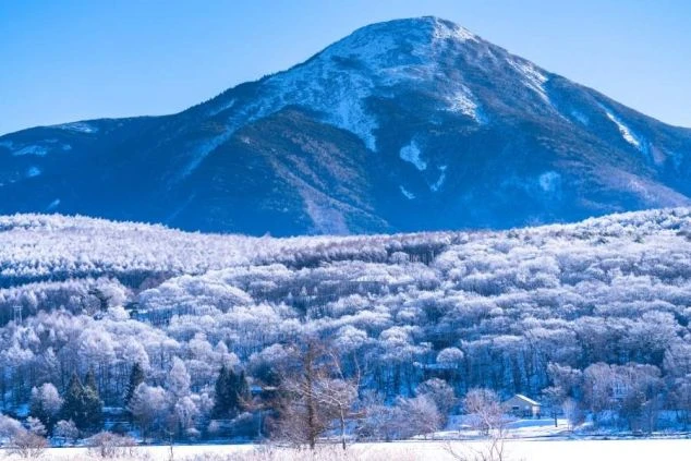 雪山を背景に、雪に覆われた樹氷が広がる雄大な冬景色の画像。青空と白い雪原が広がる、リゾートバイトの休日の過ごし方や自然の景色を表す画像。