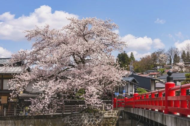 岐阜県飛騨高山にある「飛騨国分寺」の三重塔と、赤く色づいた紅葉の画像。リゾートバイトのオフシーズンや休日に日本の歴史や四季折々の美しい景色を楽しむ。