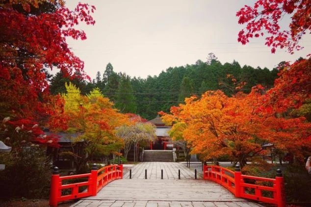 紅葉に彩られた木々に囲まれた、寺社へと続く赤い太鼓橋。日本の美しい秋の風景の中、心洗われるような参拝ができます。