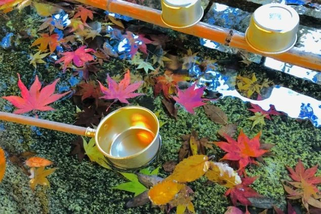 神社やお寺にある手水舎（ちょうずや）。水面に浮かぶ色鮮やかな紅葉が、秋の訪れを感じさせます。