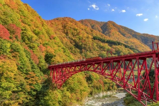 紅葉に彩られた山々を背景に、赤い橋を渡るトロッコ列車。秋の雄大な景色。
