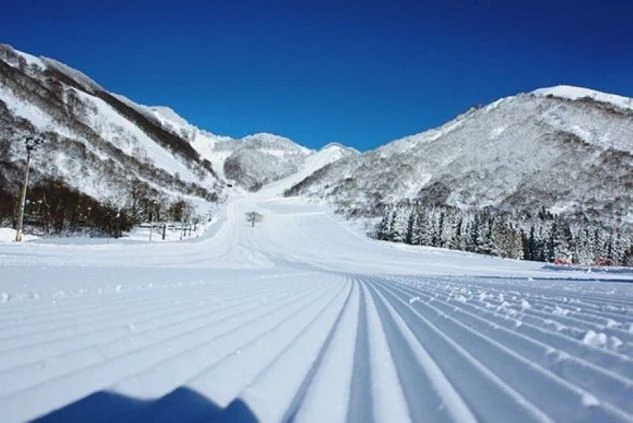 青空の下、広大なゲレンデに広がるグルーミングされた雪面。リゾートバイトで働くスキー場の絶景。