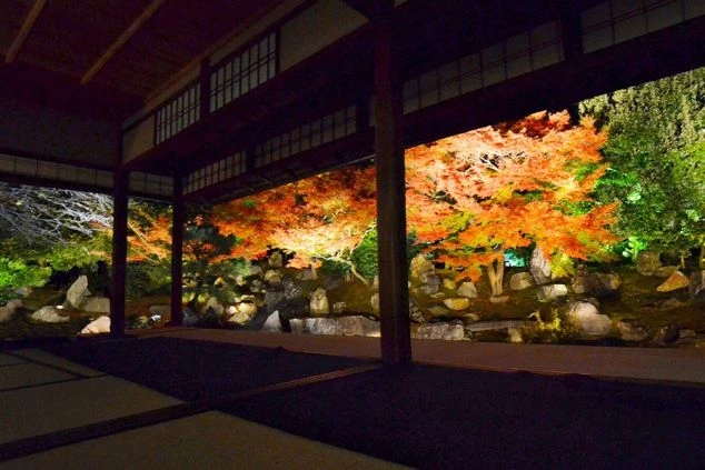 旅館や寺院の座敷から眺める紅葉のライトアップ。秋の京都の情緒ある風景。