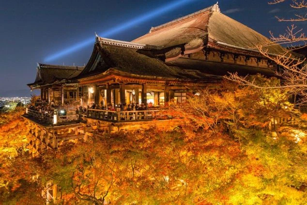 京都 清水寺の舞台。夜間拝観のライトアップと紅葉。秋の京都リゾートバイトの景色。