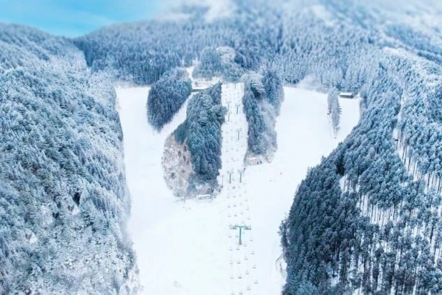 樹氷に囲まれた広大なスキー場の全景。冬のリゾートバイトで絶景に癒されませんか。