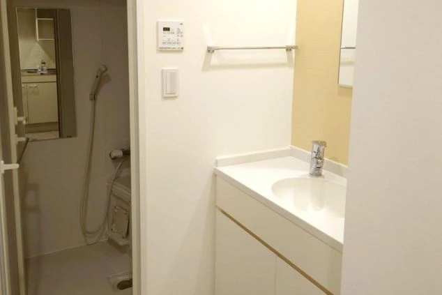 居室内の洗濯機置場とシャワールームへの入り口。右奥にトイレの一部が見える。