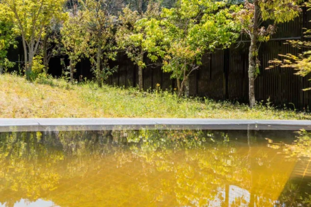 金色に輝く水面が木々や空を映し出す温泉のイメージ画像。無料で利用可能。