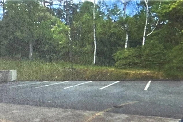 リゾートバイトの社員寮のイメージ画像。寮の目の前にある駐車場と、その奥に広がる緑豊かな自然。