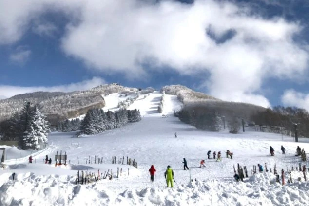 雪に覆われた山肌と、ゲレンデでスキーやスノーボードを楽しむ人々の画像。