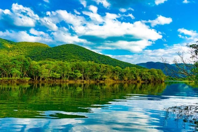 鹿児島県奄美大島の「マングローブパーク」の壮大な景色。リゾートバイトの赴任先として人気の奄美エリアで、大自然を満喫できる周辺環境のイメージ。