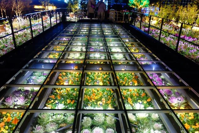 愛知県蒲郡ラグーナテンボスにある、夜に光る花畑。リゾートバイトの休日に友達と楽しめる、幻想的なデートスポット。