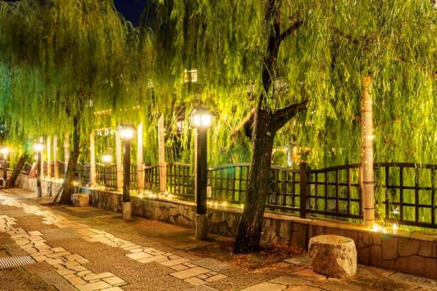 ライトアップされた竹林と灯籠が幻想的な、静岡県・城ヶ崎エリアの夜の景観。リゾートバイトの仕事終わりや休日に、風情ある温泉街の散策を楽しめる魅力的な周辺環境の画像。