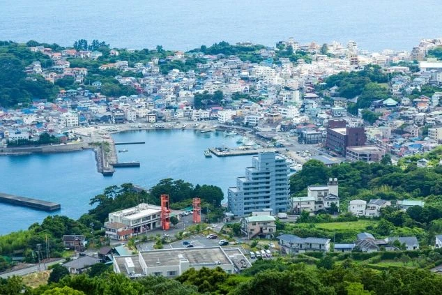 穏やかな湾を囲むように住宅やビルが密集する、活気ある港町の全景。背景には広大な海が広がっている。