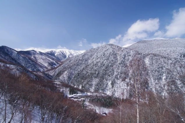 白衣を着て野菜をカットする調理風景