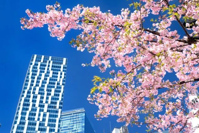 東京都心・渋谷駅の画像。利便性の高い23区内でのシティ型リゾートバイトや事務案件を探している方に人気のエリア。